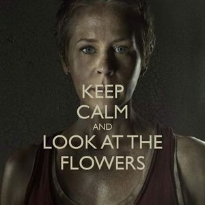 Meet your Posher, Stephen